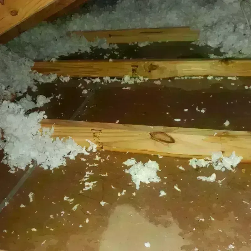 Attic Water Damage in Mexico, MO