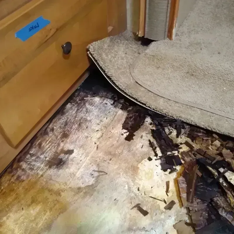 Wood Floor Water Damage in Mexico, MO